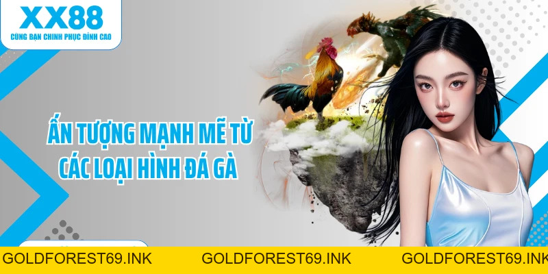 Đá Gà XX88: Bùng Nổ Cùng Các Linh Kê Tài Năng Nhất