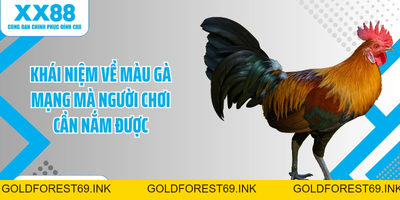 Màu Gà Mạng - Tuyệt Chiêu Chọn Gà Chiến Chuẩn Xác 