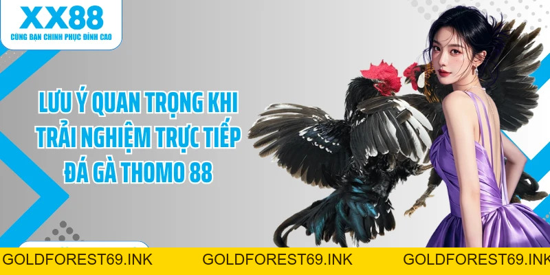 Trực Tiếp Đá Gà Thomo 88 - Thưởng Thức Chọi Kê Mãn Nhãn