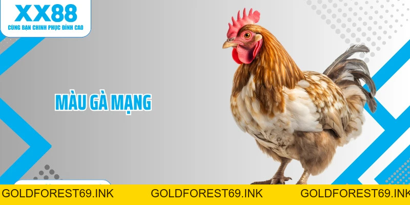 Đá Gà XX88: Bùng Nổ Cùng Các Linh Kê Tài Năng Nhất