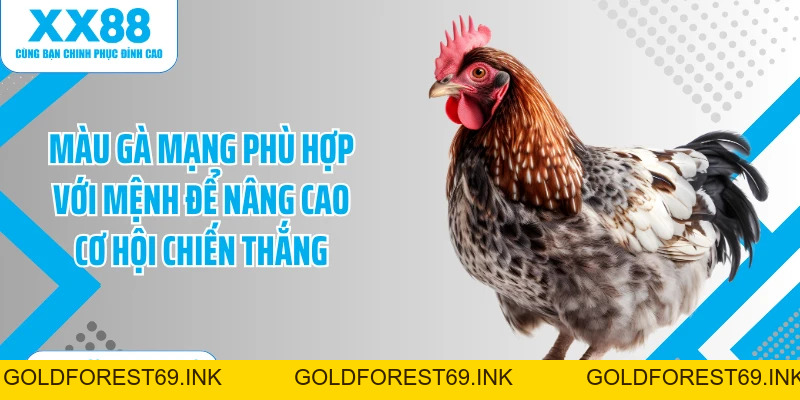Màu Gà Mạng - Tuyệt Chiêu Chọn Gà Chiến Chuẩn Xác 