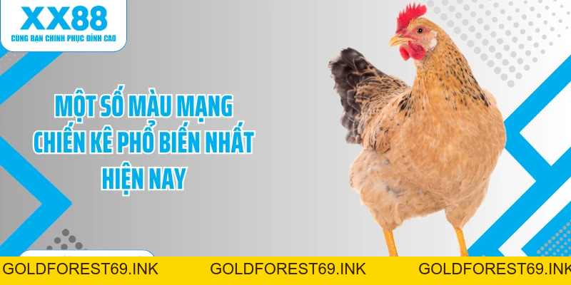 Màu Gà Mạng - Tuyệt Chiêu Chọn Gà Chiến Chuẩn Xác 
