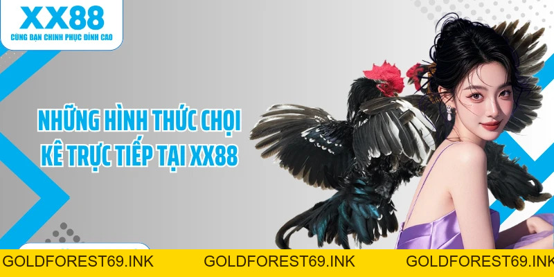 Trực Tiếp Đá Gà Thomo 88 - Thưởng Thức Chọi Kê Mãn Nhãn