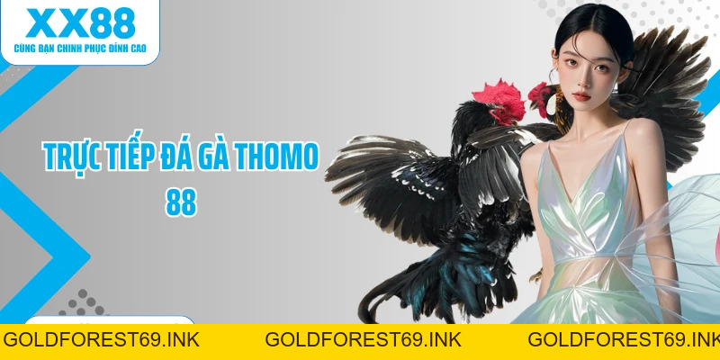 Đá Gà XX88: Bùng Nổ Cùng Các Linh Kê Tài Năng Nhất